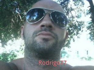 Rodrigo77