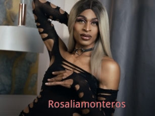 Rosaliamonteros