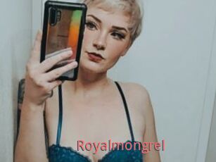 Royalmongrel