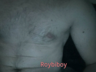 Roybiboy