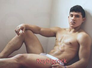 Roybigcock