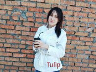 Tulip