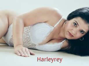 Harleyrey