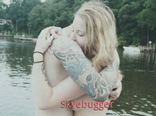 Skyebugger