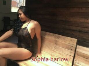 Sophia_harlow