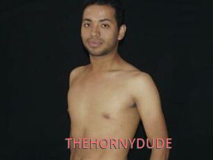 THEHORNYDUDE