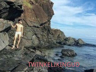 TWINKELIKINGUD