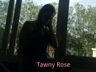 Tawny_Rose