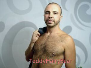 TeddyHairyBear