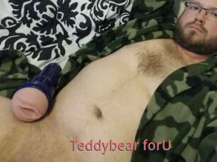 Teddybear_forU