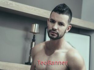 TeoBanner