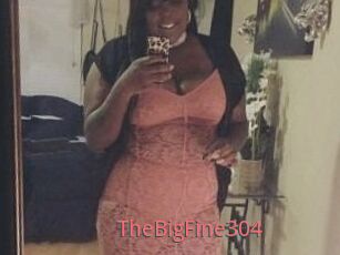 TheBigFine304