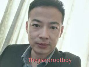 Thegiantrootboy