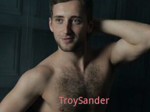 TroySander