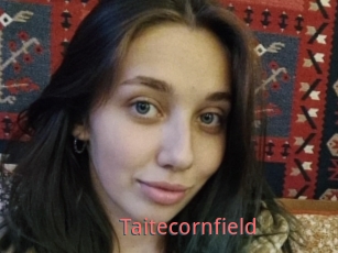 Taitecornfield