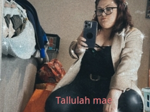 Tallulah_mae