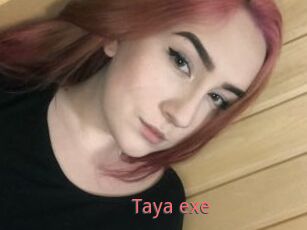 Taya_exe