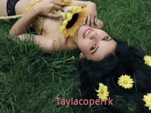 Taylacoperrk