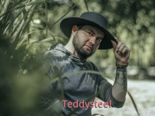 Teddysteel