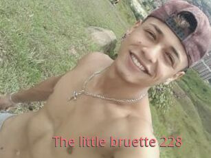 The_little_bruette_228