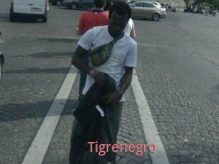 Tigrenegro