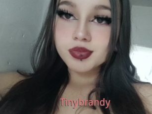 Tinybrandy