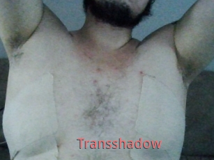 Transshadow