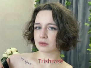 Trishrose