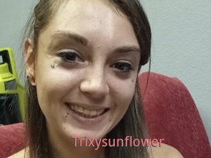 Trixysunflower