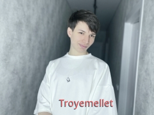 Troyemellet