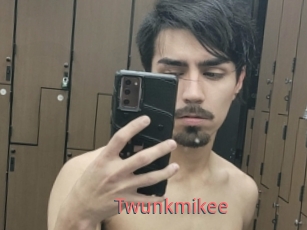 Twunkmikee