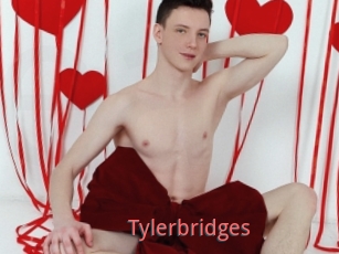 Tylerbridges