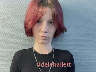 Udelehallett