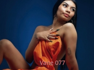 Vane_077