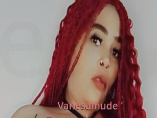 Vanesamude