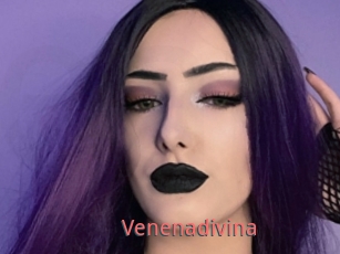 Venenadivina