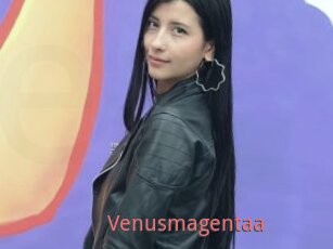 Venusmagentaa