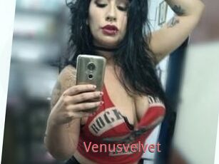 Venusvelvet