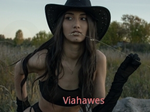 Viahawes