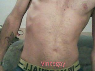 Vincegay