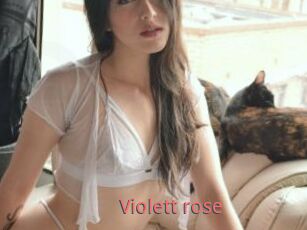 Violett_rose