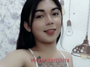 Virgendemaria