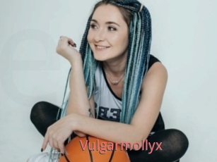 Vulgarmollyx