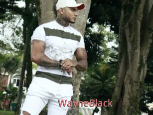 WayneBlack