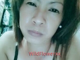 WildFlowerxx