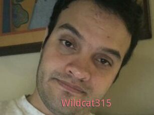 Wildcat315