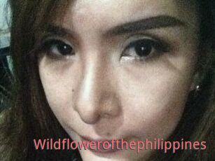 Wildflowerofthephilippines