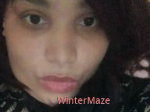 Winter_Maze