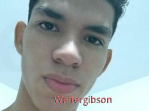 Waltergibson