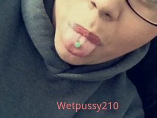 Wetpussy210